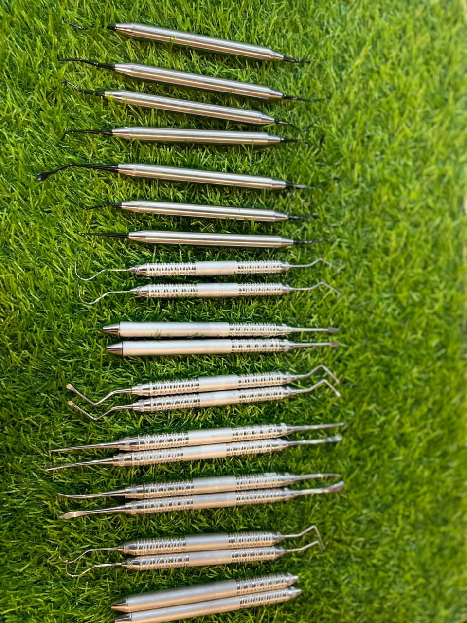 Orthogear Surgical Product