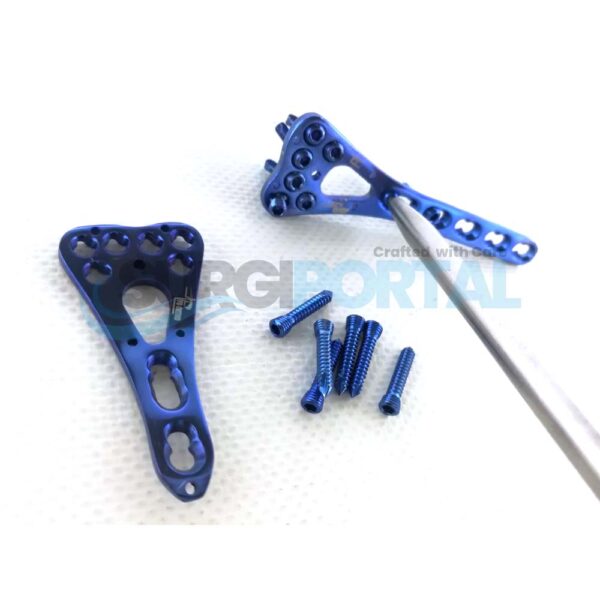 Variable Angle Distal Radius Volar LCP Plate 2 5 Holes L R with Screws