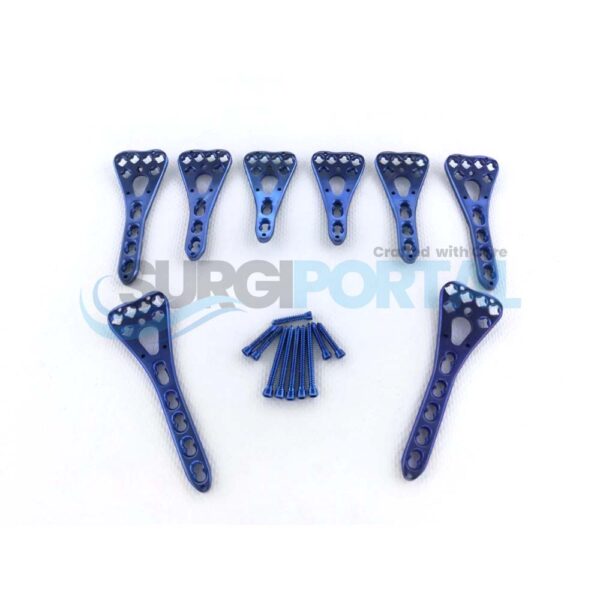 Distal Radius Volar Locking Plates 2 5 Holes L R with Screws