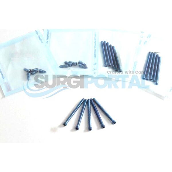 Locking Safety Lock 2.0mm Hex Head Screws