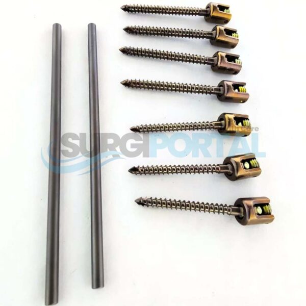 Polyaxial Pedicle Spine Screw & Rod Set