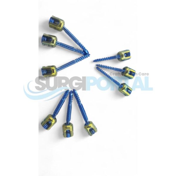 Double Thread Polyaxial Pedicle Screw Spine System Set Titanium