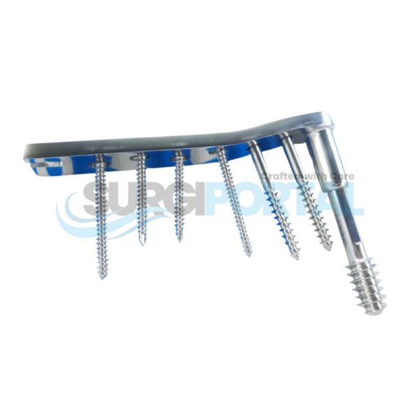 DCS 95° Plates with DCS Screws 4.5mm DCP & 6.5mm Cancellous Screws Set Stainless Steel