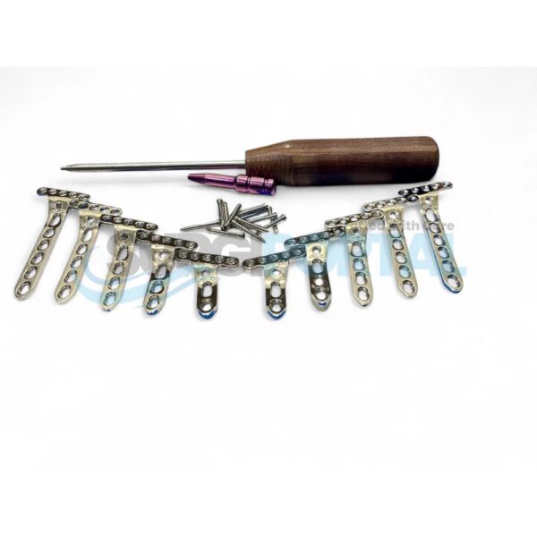 Variable Angled Locking Extra Articular Oblique Plate with Screws Set Stainless Steel