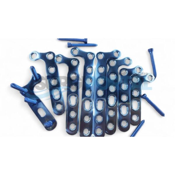 Locking Dorsal Distal Radius L Oblique Plate with Screws Set Titanium