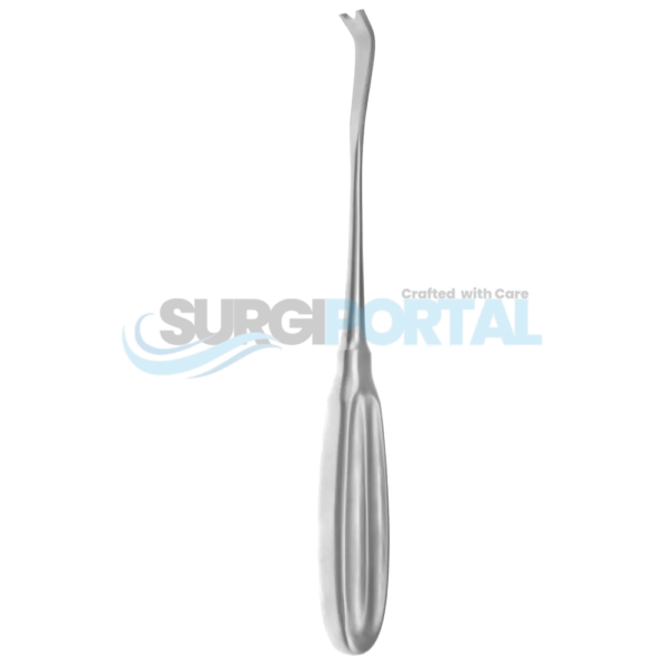 9 1/4" Semb Rasp – Angled Blades with Notch