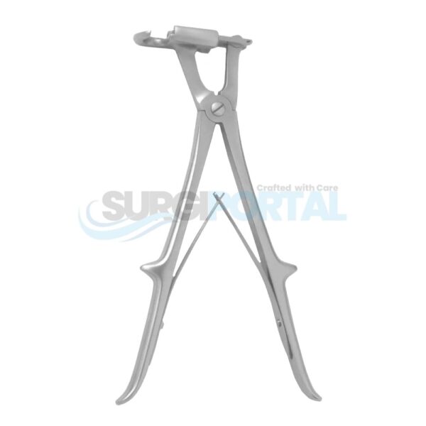 10 1/4'' Sauerbruch Rib Shears