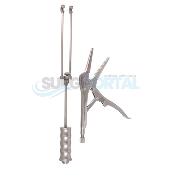 12" Locking Pliers with Slaphammer Needle Nose