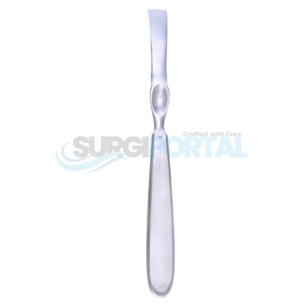 Lambert Rasp 10mm – 8 1/4"