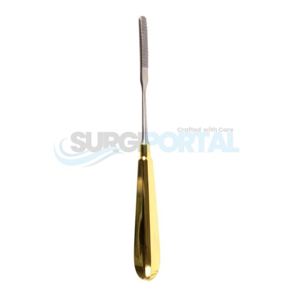 8'' Aston Reduction Rasp Coarse