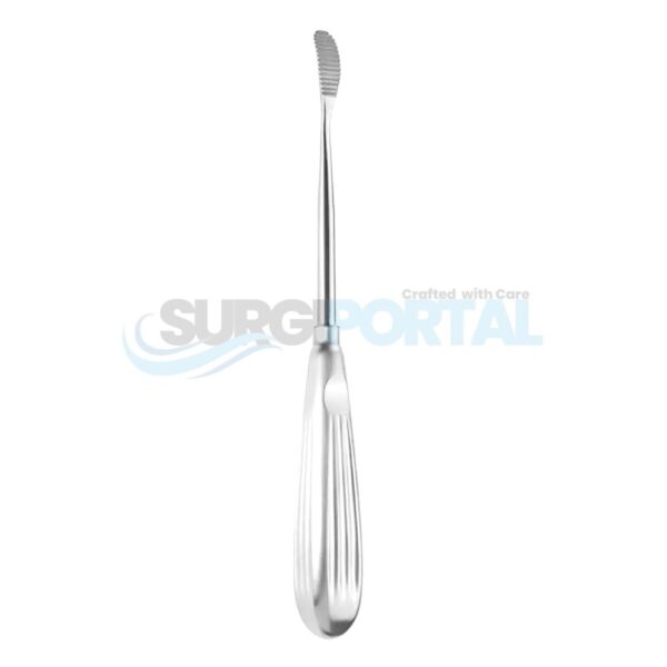 8'' Aufricht Rasp Upstroke Curved