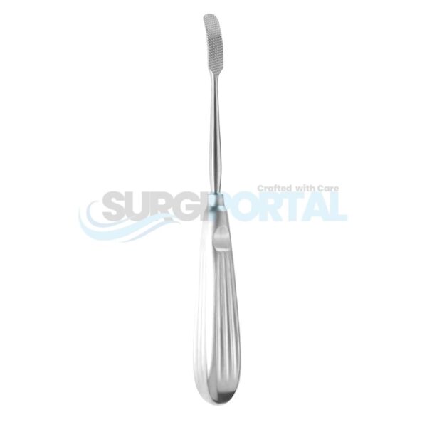 8'' Aufricht Glabella Rasp 205mm Curved Backward