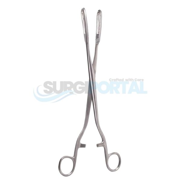 Bierer Ovum Forceps – 16 mm Jaws, 11"