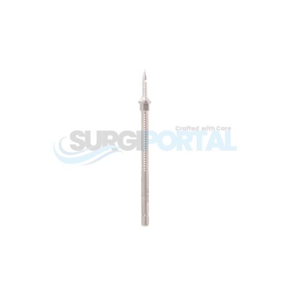Distraction Screw 14mm
