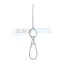 resized_processed_7-Awl-maxillary.jpg