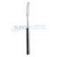 resized_processed_Hibbs-Chisel-9-1-4-5-8-wide-cvd.jpg