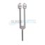resized_processed_Tuning-Fork-weights-C256.jpg